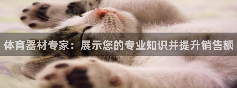 极悦平台官网入口登录：体育器材专家：展示您的专业知识