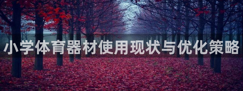 极悦平台是什么：小学体育器材使用现状与优化策略