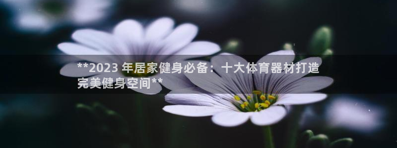 极悦平台注册流程图：**2023 年居家健身必备：十