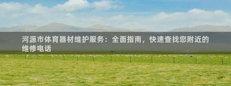 极悦平台用户评价：河源市体育器材维护服务：全面指南，