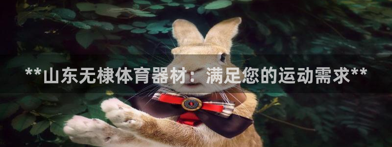 极悦官方网站app下载：**山东无棣体育器材：满足您