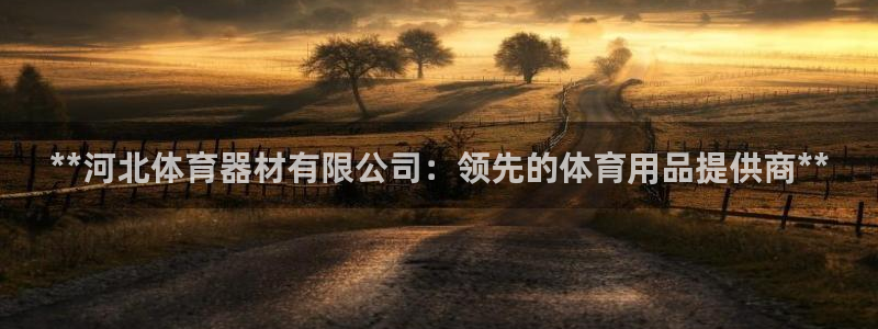 极悦平台官网入口网址：**河北体育器材有限公司：领先