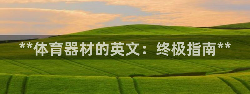 极悦平台用户评价与反馈：**体育器材的英文：终极指南