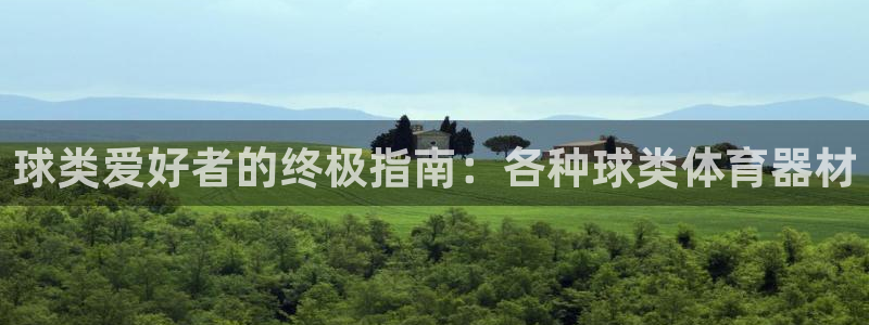 极悦平台网址皮皮虾：球类爱好者的终极指南：各种球类体