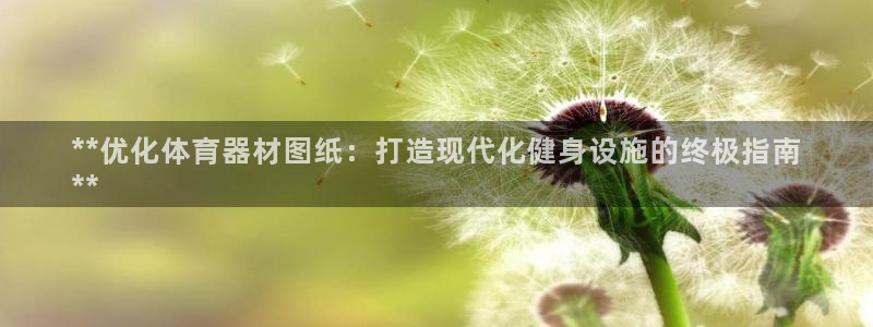 极悦平台官网登录网址查询：**优化体育器材图纸：打造