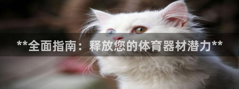 极悦娱乐app官方版本更新内容在哪：**全面指南：释