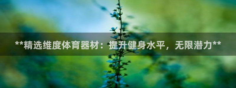 极悦平台用户评价：**精选维度体育器材：提升健身水平
