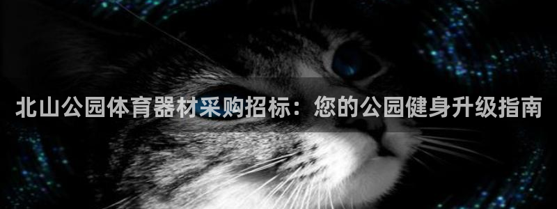 极悦平台是正规平台吗安全吗可靠吗：北山公园体育器材采
