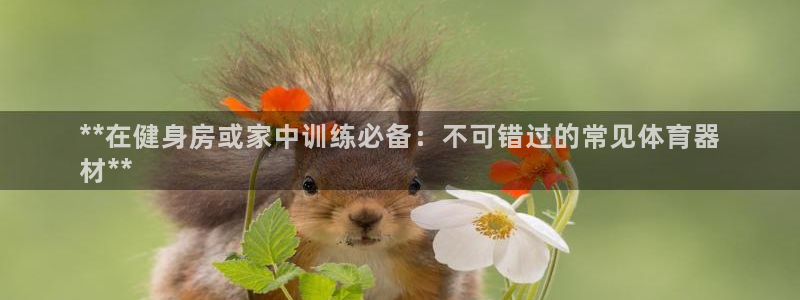 极悦平台注册用户名验证码是什么：**在健身房或家中训