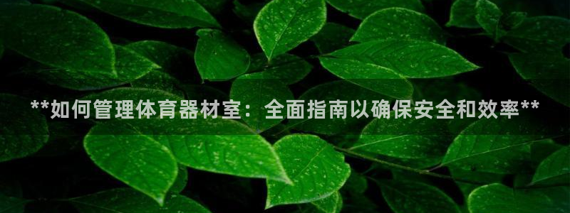 无锡极悦科技有限公司：**如何管理体育器材室：全面指