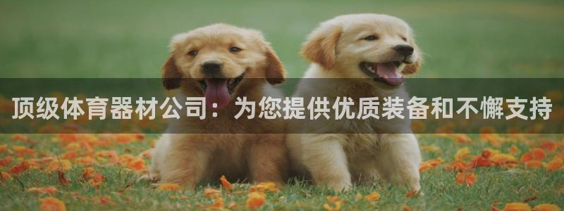 极悦平台注册登录入口在哪：顶级体育器材公司：为您提供