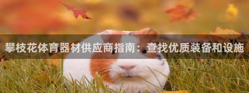 极悦平台注册资金多少亿：攀枝花体育器材供应商指南：查