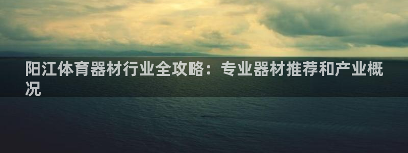 极悦平台官网登录网址是什么：阳江体育器材行业全攻略：专业器材
