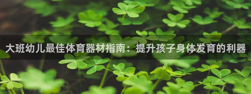 极悦娱乐方7O777：大班幼儿最佳体育器材指南：提升