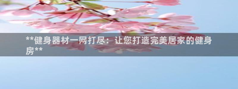 极悦平台官网入口：**健身器材一网打尽：让您打造完美