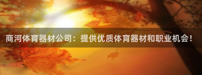极悦平台注册用户名验证失败：商河体育器材公司：提供优