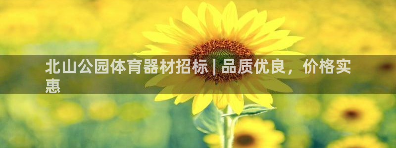 极悦平台注册用户名生成器下载：北山公园体育器材招标 