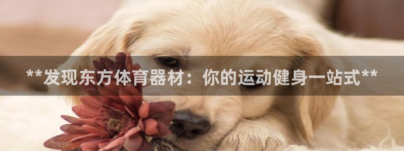 极悦娱乐挂机赚钱是真的吗吗：**发现东方体育器材：你
