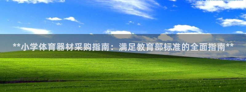极悦娱乐挂机赚钱是真的吗：**小学体育器材采购指南：