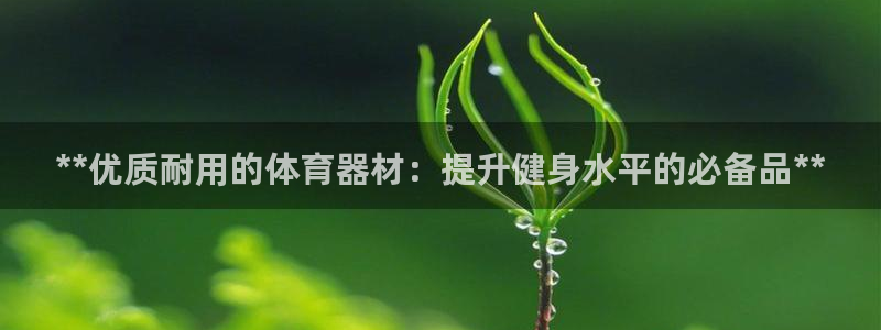 极悦平台股东：**优质耐用的体育器材：提升健身水平的