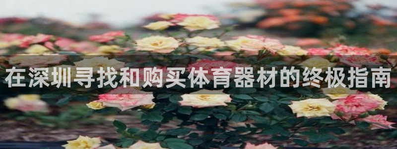 极悦平台是干什么的啊：在深圳寻找和购买体育器材的终极