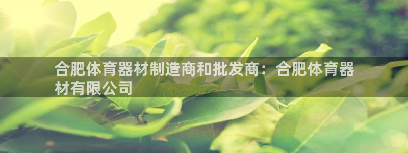 极悦平台官方网站是什么：合肥体育器材制造商和批发商：