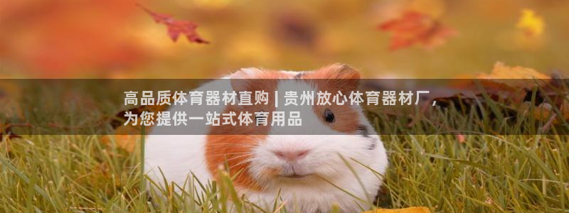 极悦娱乐会被骗吗知乎：高品质体育器材直购 | 贵州放