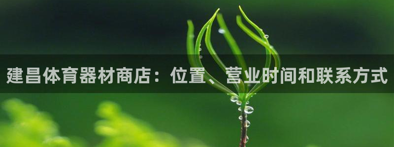 极悦娱乐创始人背景故事介绍：建昌体育器材商店：位置、