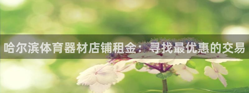 极悦娱乐会被骗吗知乎：哈尔滨体育器材店铺租金：寻找最