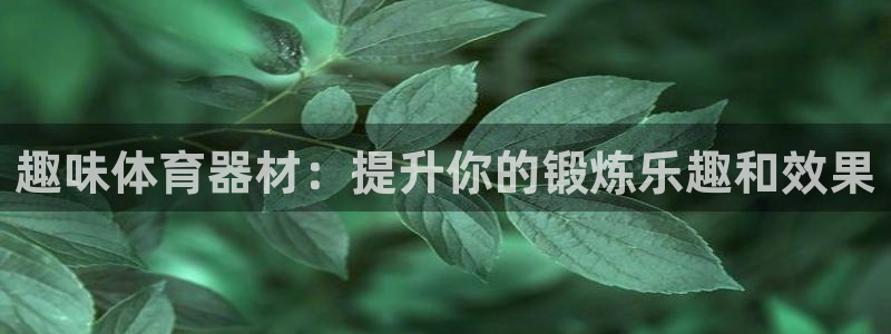 极悦平台注册登录不了：趣味体育器材：提升你的锻炼乐趣