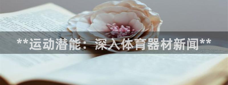 极悦平台注册用户名验证：**运动潜能：深入体育器材新