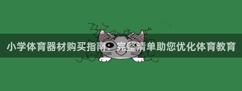 极悦平台有风险吗现在：小学体育器材购买指南：完整清单