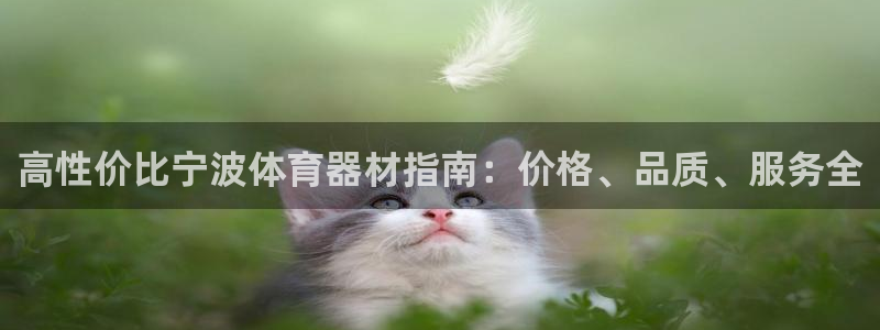 极悦平台用户反馈和反馈：高性价比宁波体育器材指南：价