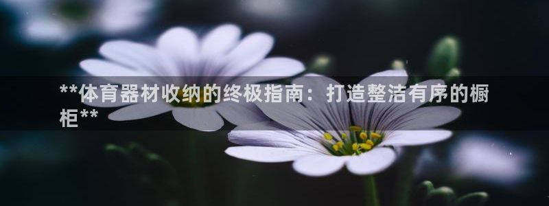 极悦平台有风险吗现在：**体育器材收纳的终极指南：打