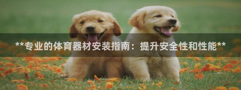 极悦平台注册资金多少：**专业的体育器材安装指南：提