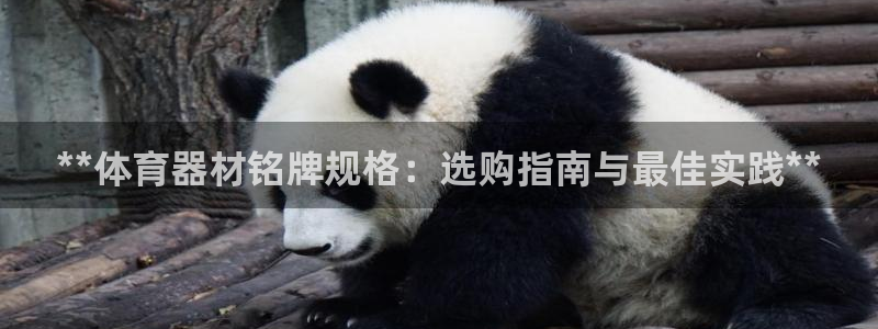 极悦娱乐创始人背景故事简介：**体育器材铭牌规格：选