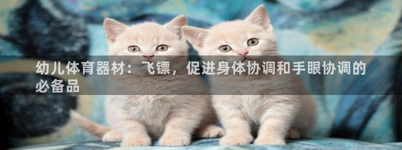 极悦娱乐现在叫什么：幼儿体育器材：飞镖，促进身体协调