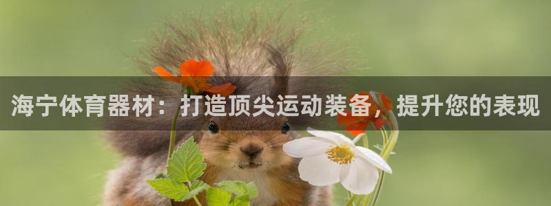极悦官网首页：海宁体育器材：打造顶尖运动装备，提升您的表现