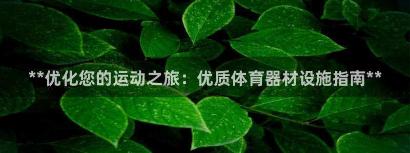 极悦平台是干什么的啊：**优化您的运动之旅：优质体育