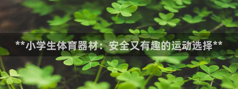 极悦平台基7O777：**小学生体育器材：安全又有趣
