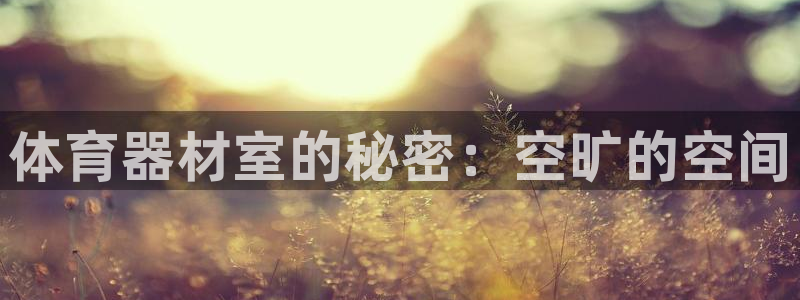 极悦平台非7O777：体育器材室的秘密：空旷的空间