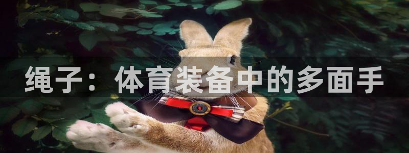 极悦娱乐官网客服联系方式查询：绳子：体育装备中的多面
