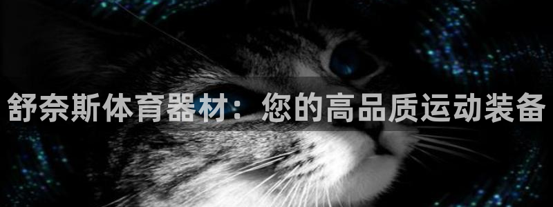 极悦平台用户反馈和反馈：舒奈斯体育器材：您的高品质运