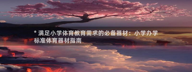 极悦平台注册官方网站下载：* 满足小学体育教育需求的