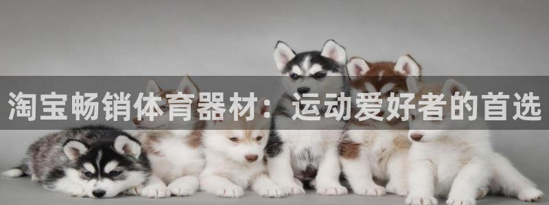 极悦平台登录7.0.2.4手机版下载安卓：淘宝畅销体
