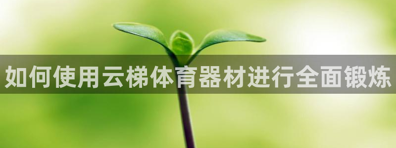 极悦平台用户评价：如何使用云梯体育器材进行全面锻炼