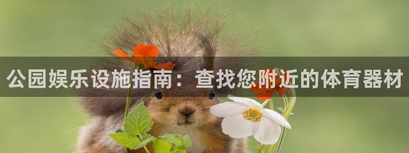 极悦平台登录不进去怎么回事儿：公园娱乐设施指南：查找