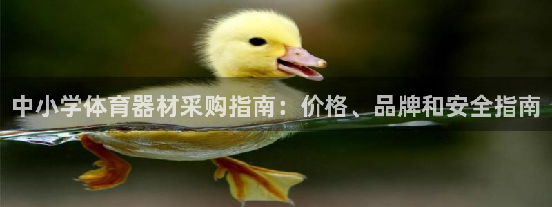 极悦官方网站入口：中小学体育器材采购指南：价格、品牌