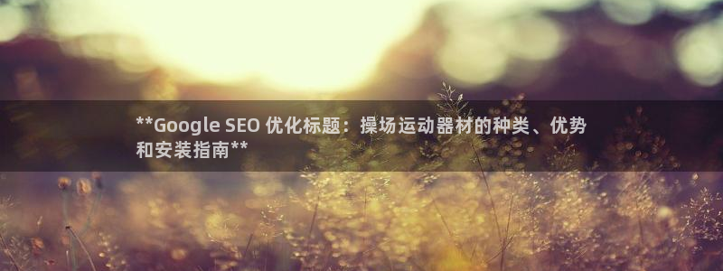 极悦生活家是什么平台的软件：**Google SEO 优化标