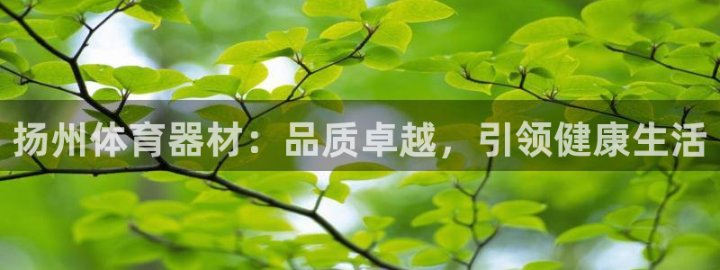 极悦娱乐代理怎么样知乎：扬州体育器材：品质卓越，引领